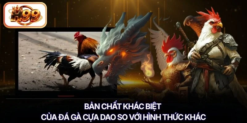 Bản chất khác biệt của đá gà cựa dao so với hình thức khác