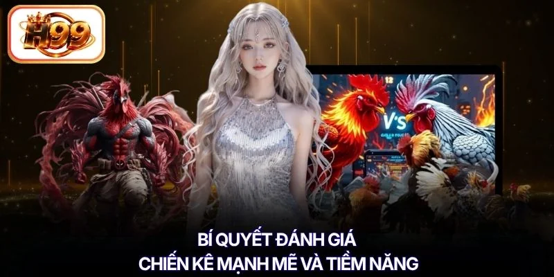 Bí quyết đánh giá chiến kê mạnh mẽ và tiềm năng