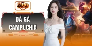 Đá Gà Campuchia - Loại Hình Giải Trí Đắt Khách Mọi Lúc