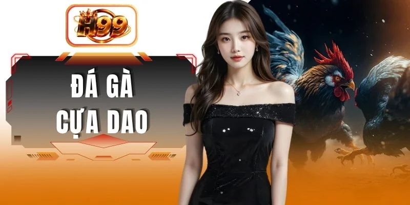 Đá Gà Cựa Dao - Trận Chiến Đối Kháng Kịch Tính Nảy Lửa