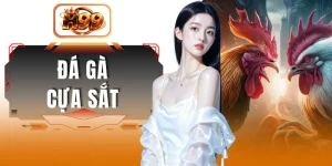 Đá Gà Cựa Sắt - Kinh Nghiệm Lựa Chọn Chiến Kê Dũng Mãnh