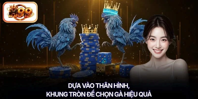 Dựa vào thân hình, khung tròn để chọn gà hiệu quả