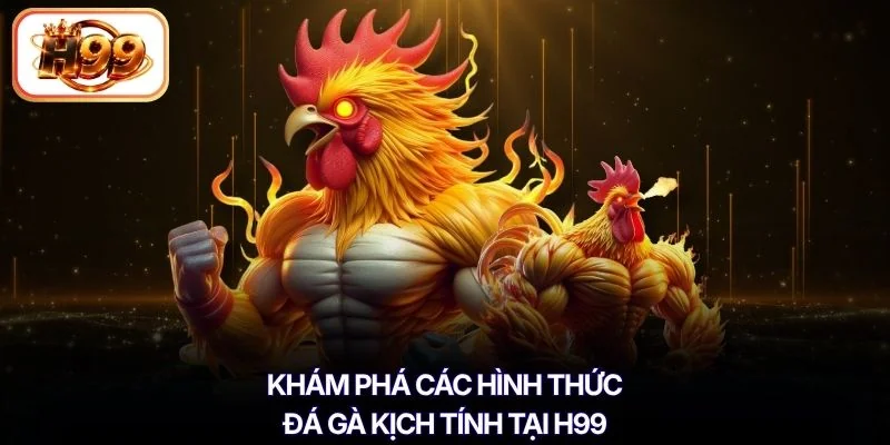 Khám phá các hình thức đá gà kịch tính tại H99