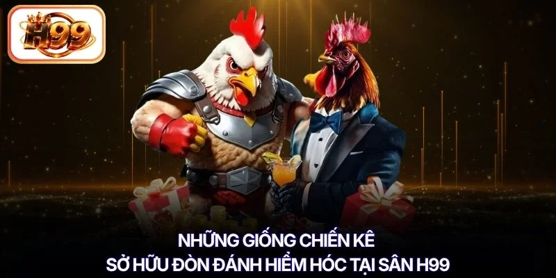 Những giống chiến kê sở hữu đòn đánh hiểm hóc tại sân H99